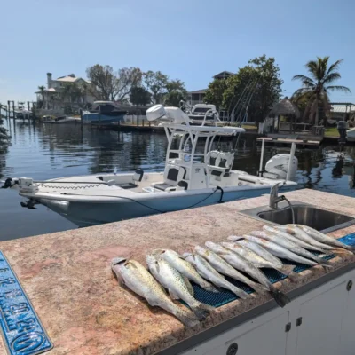 Several freshly caught fish are lined up on a cleaning station countertop next to a sink, evidence of a successful excursion, with a docked boat and waterfront houses visible in the background.