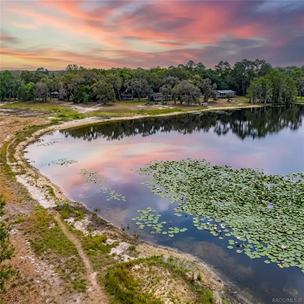 Airboat Tours — Hernando, Florida