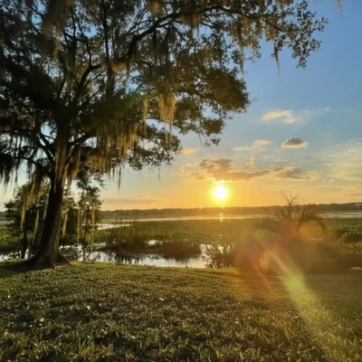 Large tree with hanging moss by a lakeshore at sunset, sunlight reflecting on the water, casting long shadows on the grassy foreground.