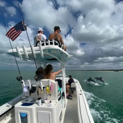 Image for choice number 2